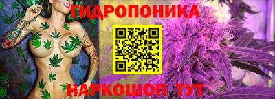 прущие крисы Владикавказ